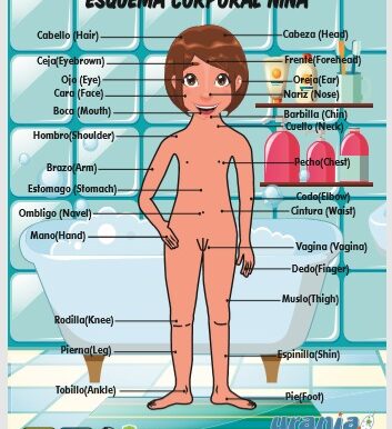 Rompecabezas Esquema Corporal Niña Desnuda