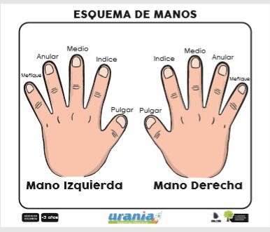 Industrias_Didacticas_Urania_SAS_Esquema_De_Manos