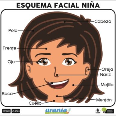 Industrias_Didacticas_Urania_SAS_Esquema_Facial_Niña