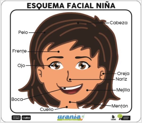 Industrias_Didacticas_Urania_SAS_Esquema_Facial_Niña