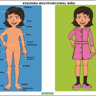 Esquema Multifuncional Niña