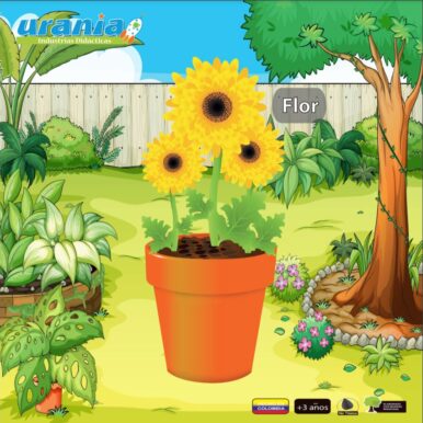 Rompecabezas Tres Niveles Flor 20cm y 24cm