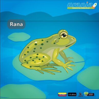 Rompecabezas Tres Niveles Rana 20cm y 24cm