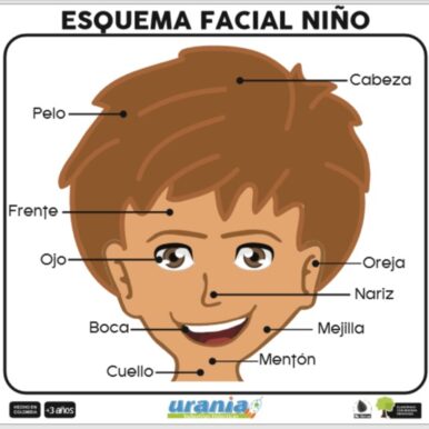Industrias_Didacticas_Urania_SAS_Esquema_Facial_Niño
