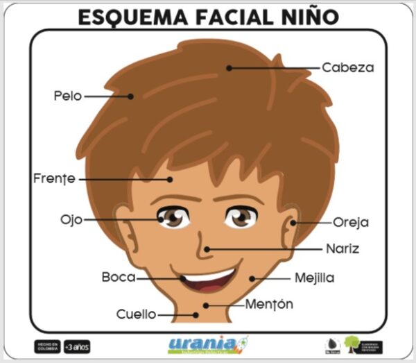 Industrias_Didacticas_Urania_SAS_Esquema_Facial_Niño