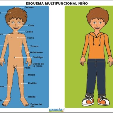 Esquema Multifuncional Niño
