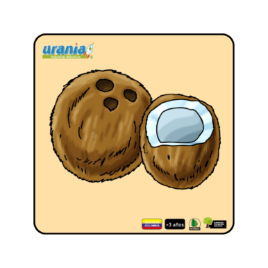 Rompecabezas Coco 15cm y 20cm