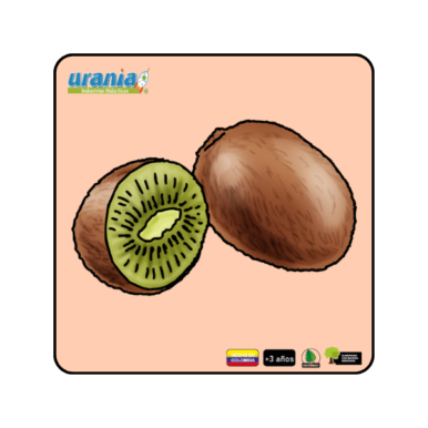 Rompecabezas Kiwi 15cm y 20cm