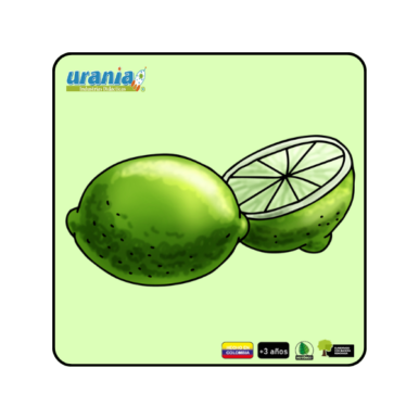 Rompecabezas Limón
