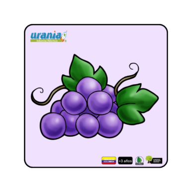 Rompecabezas Uva 15cm y 20cm