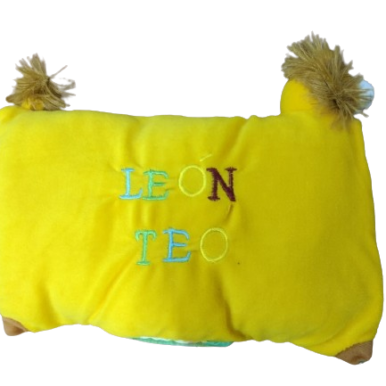 libro en tela leon teo