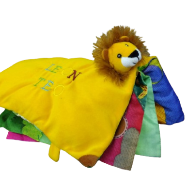 libro en tela leon teo