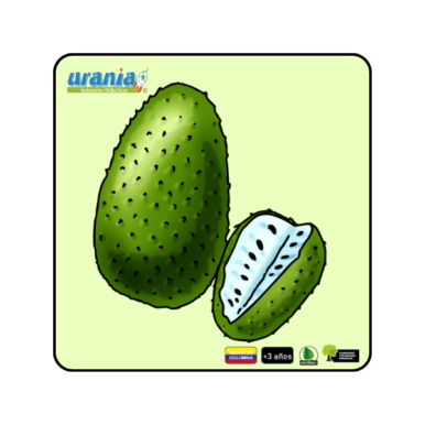 Rompecabezas Guanábana 15cm y 20cm