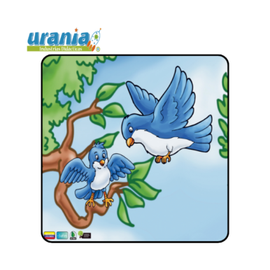 Rompecabezas Pájaros 15cm y 20cm